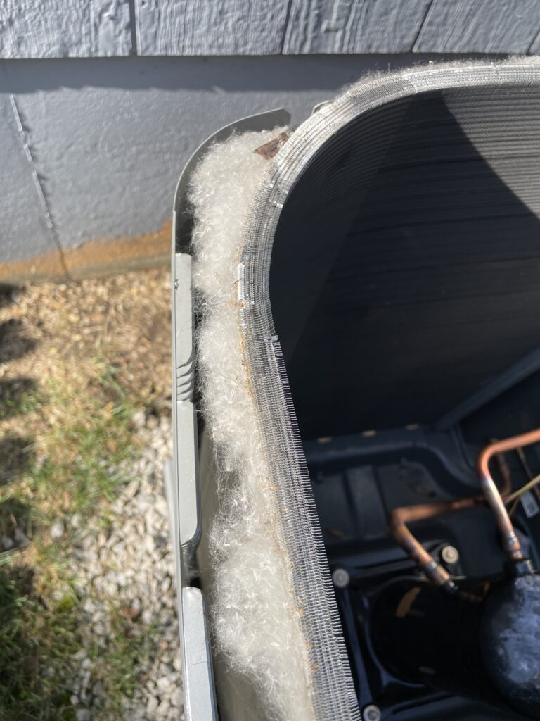 cottonwood seeds in an air conditioner